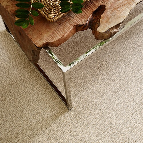 NEW-WAVE-ZZ056-WINDSWEPT-00222-H-DETAIL_500x500 Carpet flooring | Roberts Carpet & Fine Floors