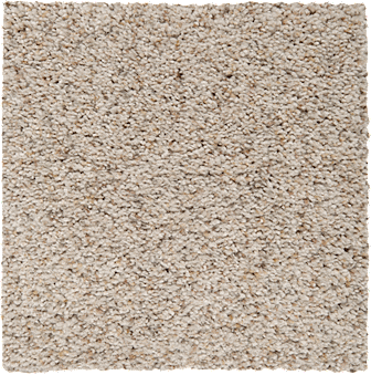 textured Textured carpet from shaw | Roberts Carpet & Fine Floors
