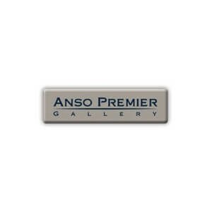 Asno Premier flooring in the Houston area | Roberts Carpet & Fine Floors