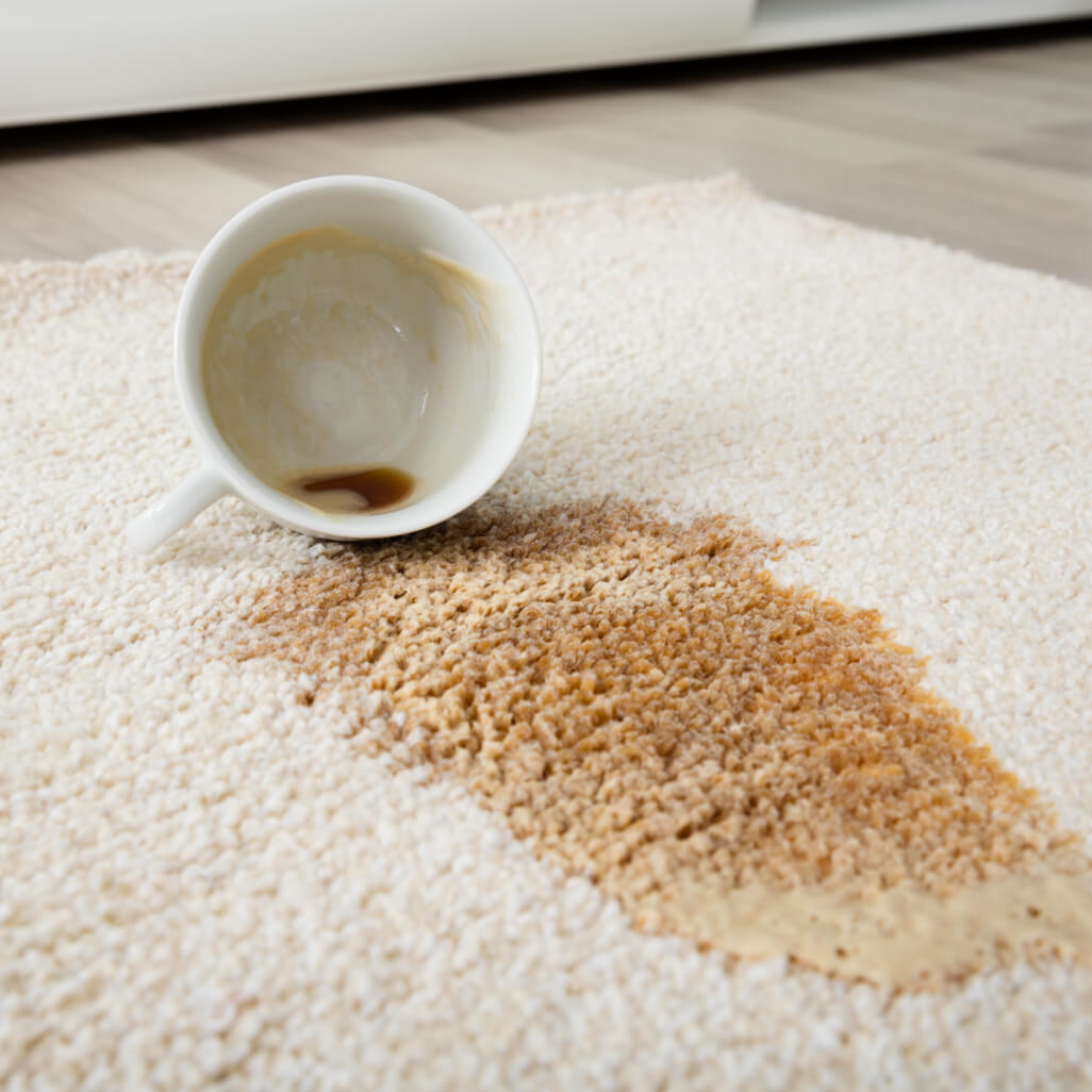 Area Rug Care - Spills | Roberts Carpet & Fine Floors