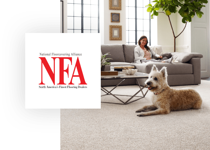 anso-carpet | Roberts Carpet