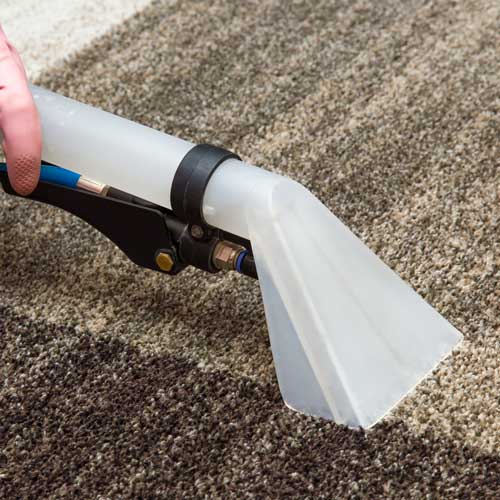 Carpet Cleaning | Roberts Carpet & Fine Floors