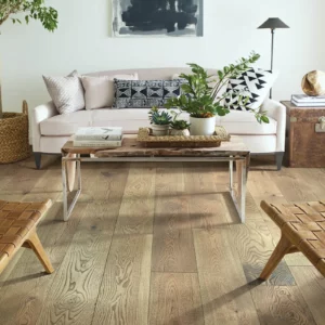 Living Room Flooring | Roberts Carpet & Fine Floors