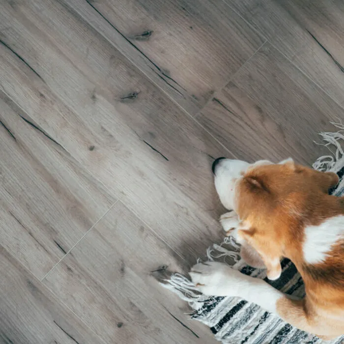 Laminate-After-Install-square Laminate after Installation | Roberts Carpet & Fine Floors