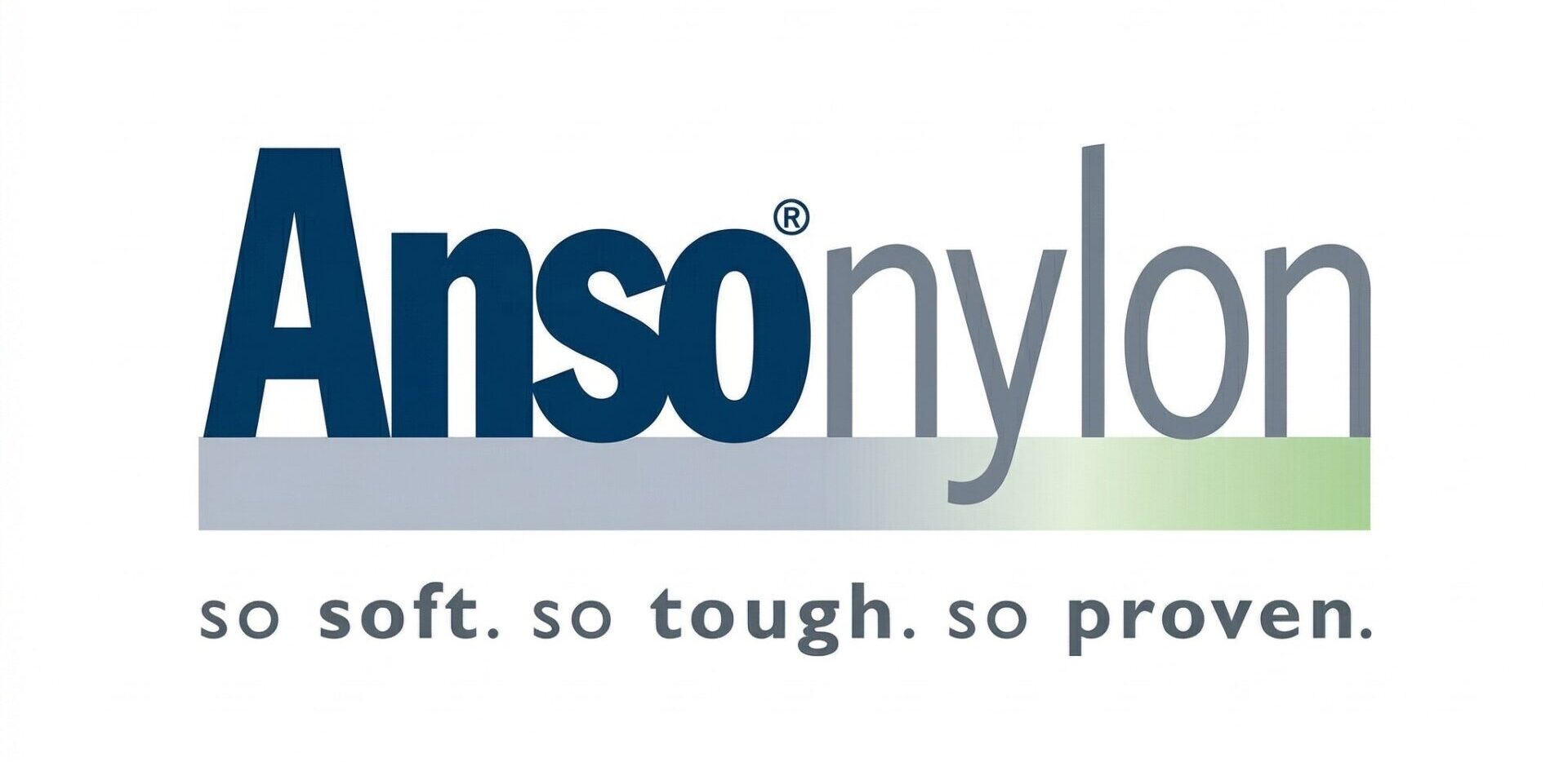 AnsoComparison logo e1774201239121 - Roberts Carpet & Fine Floors