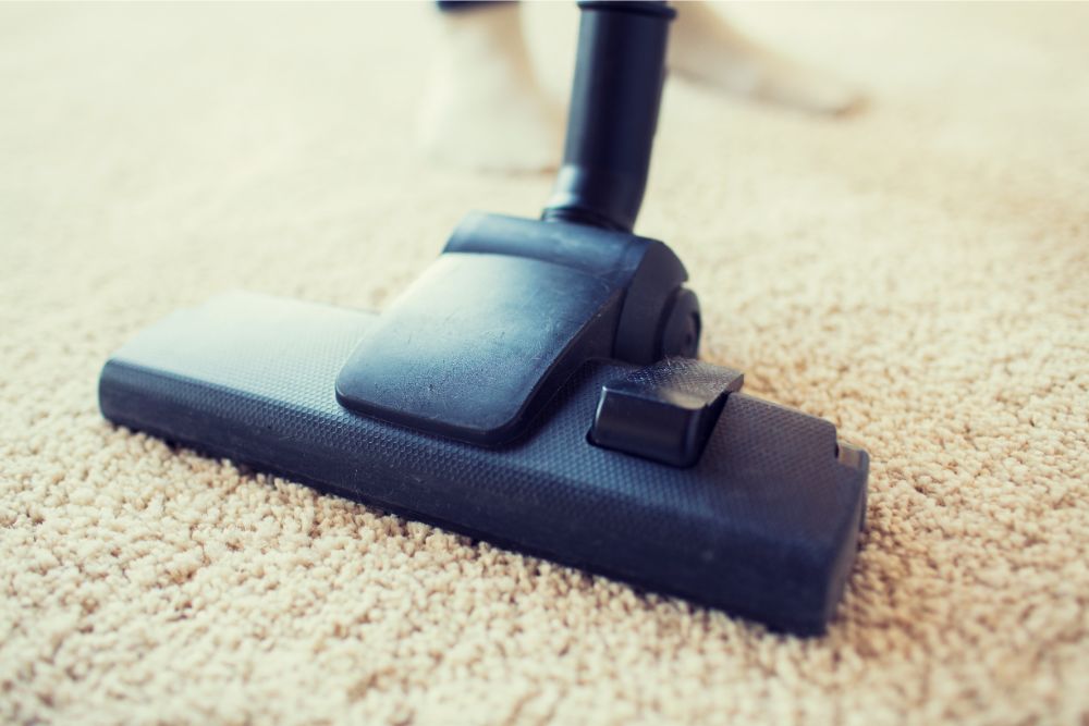 Creating a Cozy Atmosphere With Carpet