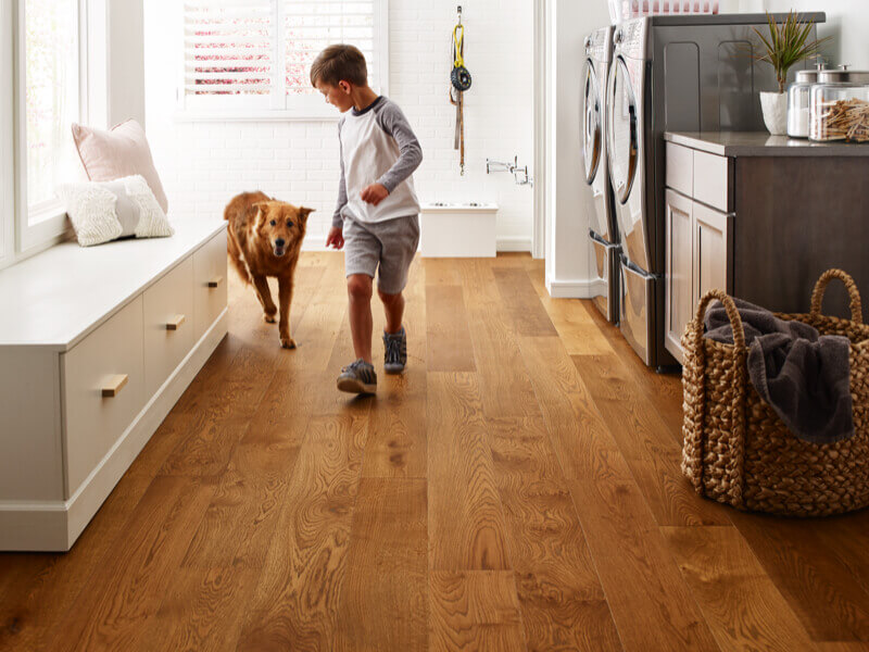 A Room-by-Room Guide to Pet-Friendly Flooring