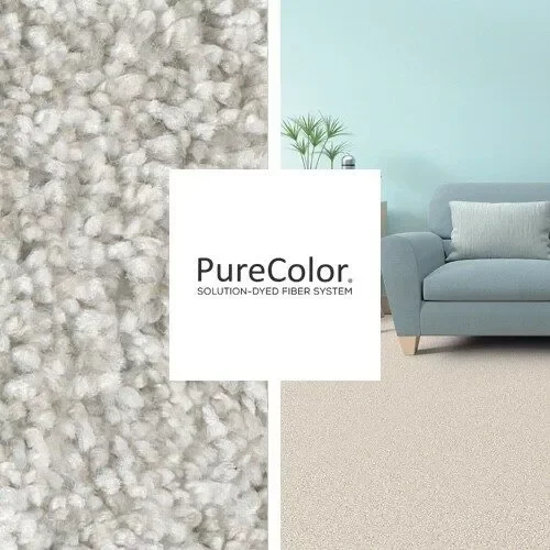 dreamweaver purecoloe square square - Roberts Carpet & Fine Floors