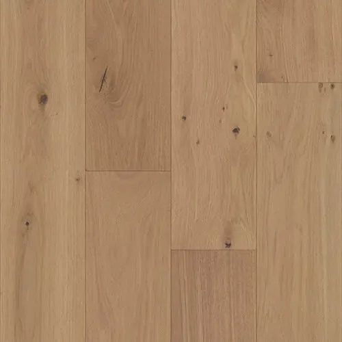 PLAIN_500x500-square