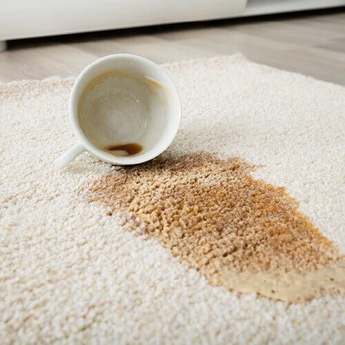 Stain cleaning tips | Roberts Carpet & Fine Floors