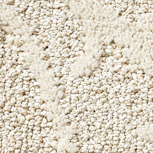 Shaw carpet | Roberts Carpet & Fine Floors